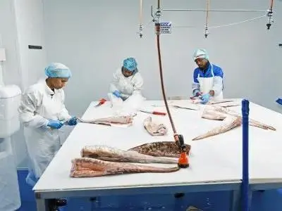 Seafood processing