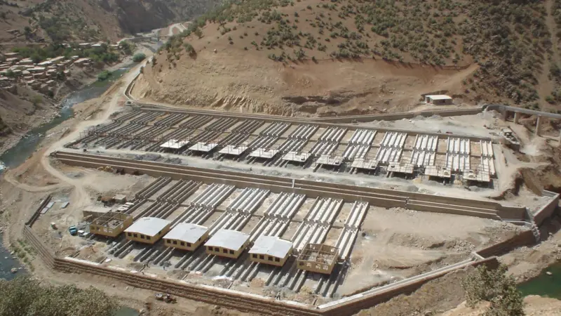 Fish farming