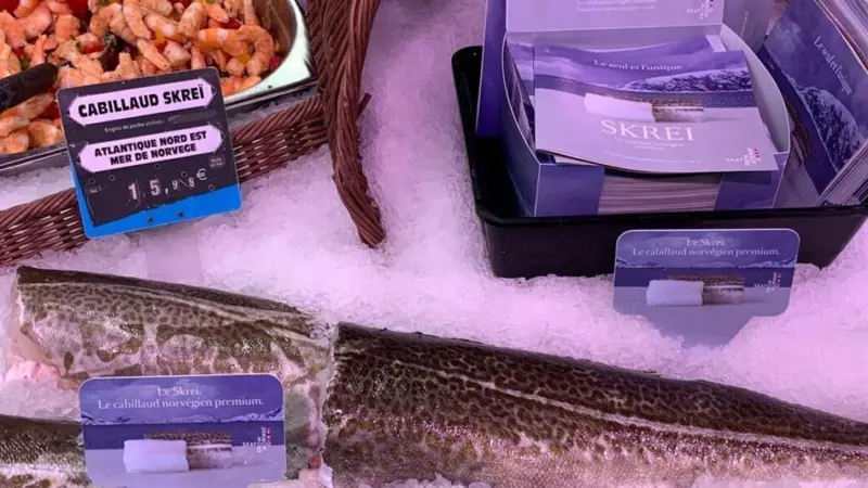 seafood
