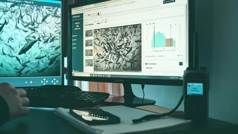 Spillfree's analytics tool VideoTools