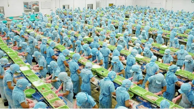 Seafood processing in Vietnam