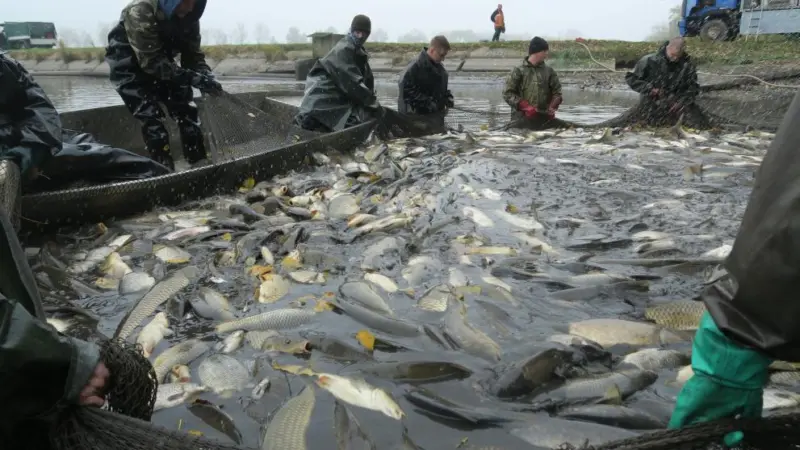 Aquaculture in Slovakia
