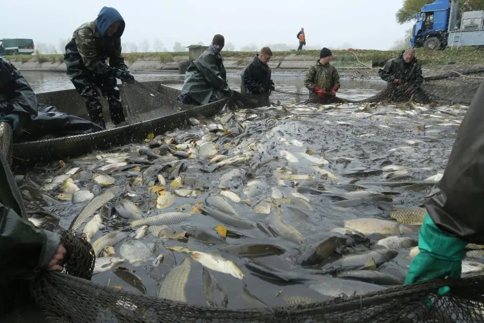 Aquaculture in Slovakia