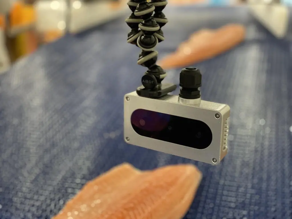 ThisFish