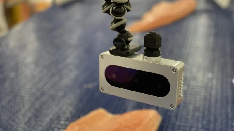 ThisFish