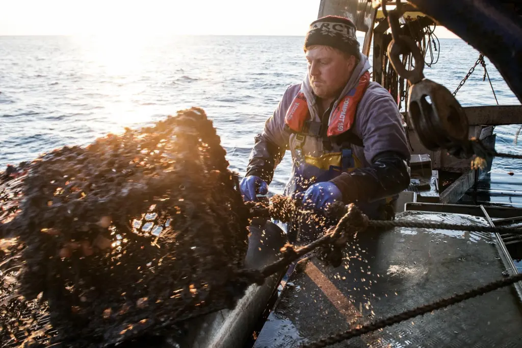 UK fishers