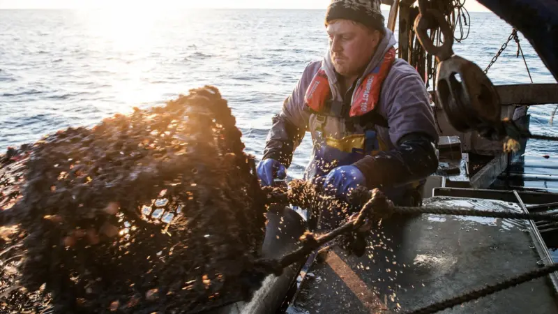 UK fishers
