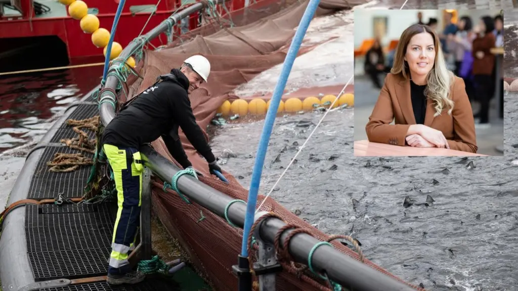 Jonas Bergman_Redox_og San dra Lindström_Anylotech