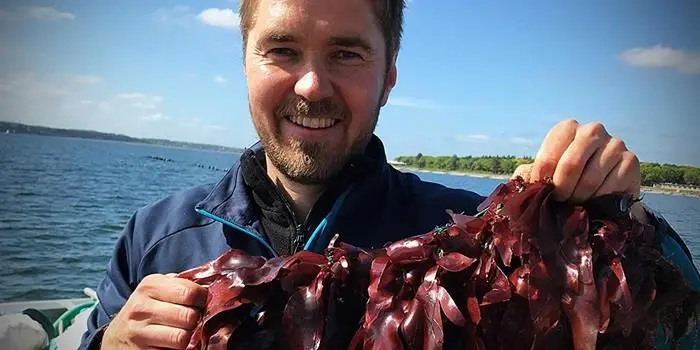 Some species can absorb nutrients from the marine environment