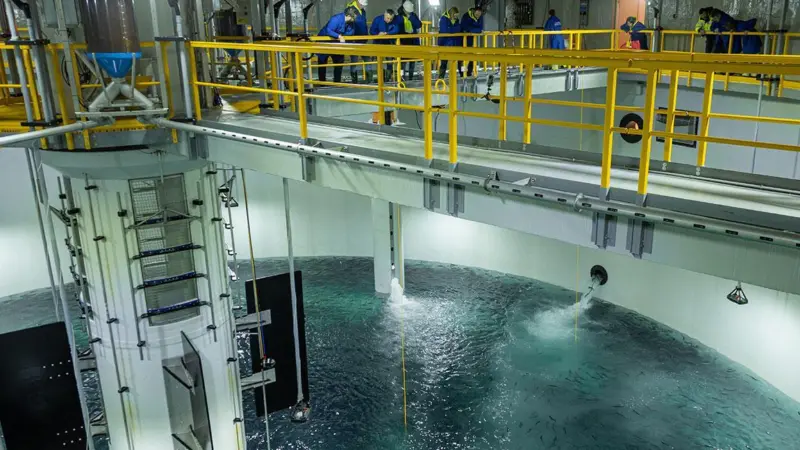 Salmon Evolution's first smolt release at Indre Harøy