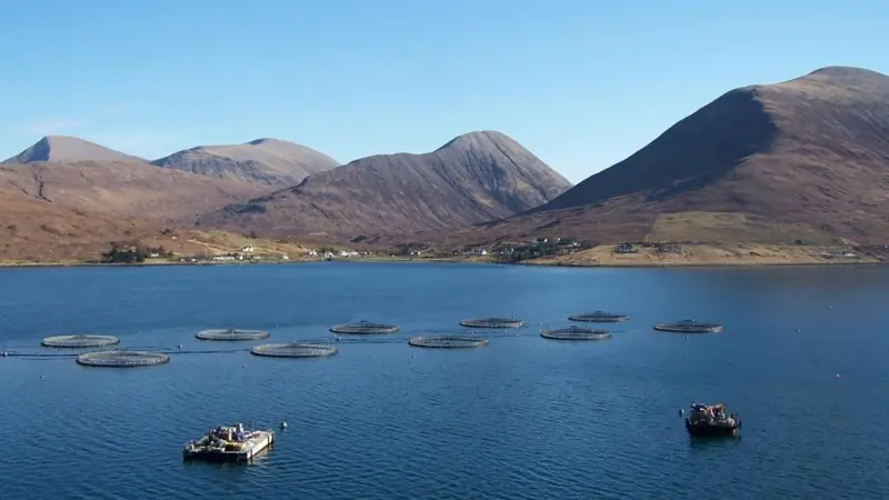 Scottish fish farm