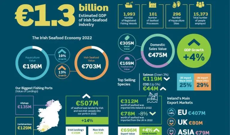 Value of Irish seafood sector graphic