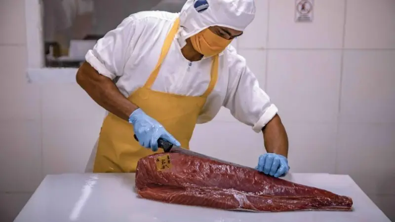 Tuna
