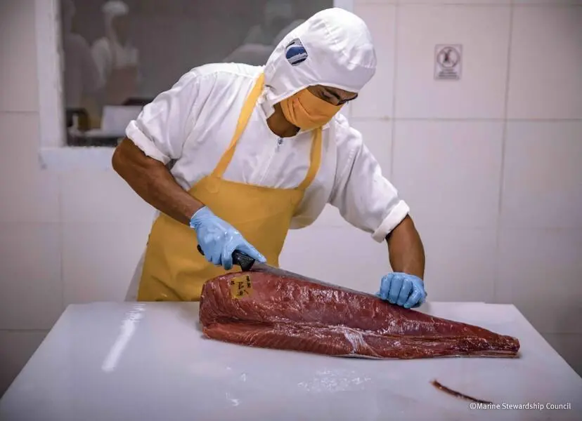 Tuna