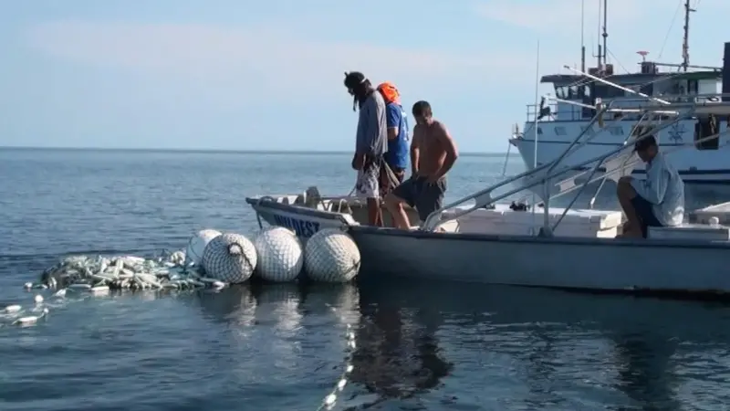 Ghost nets in Australia
