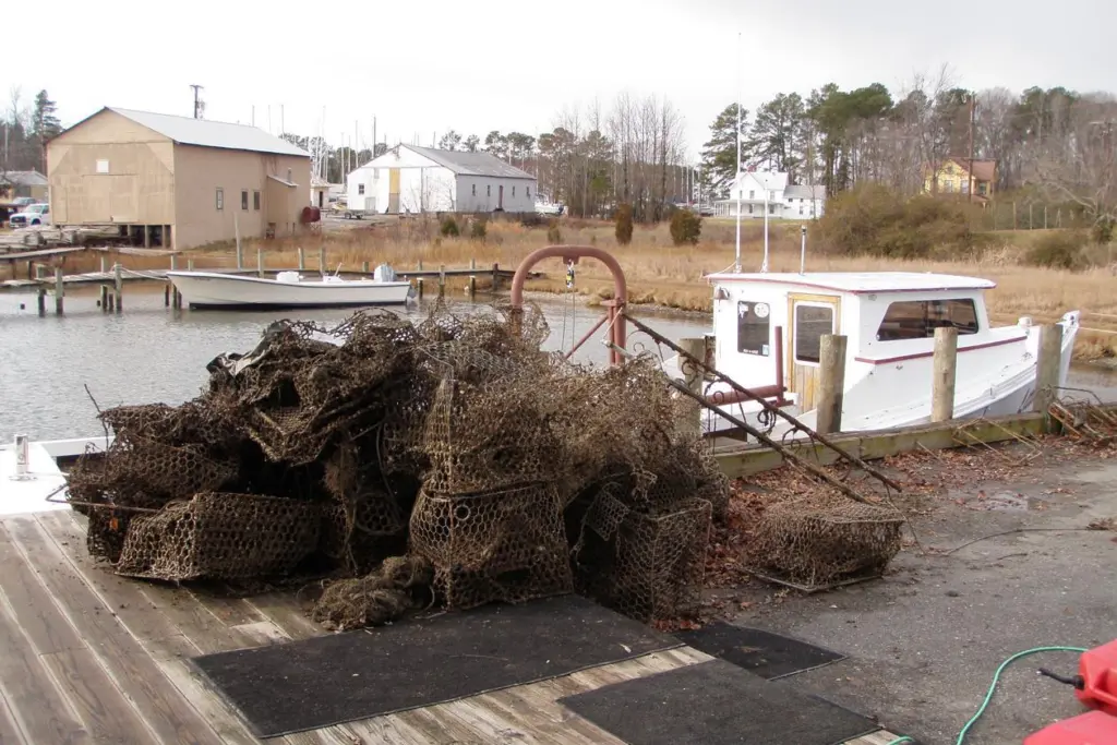 Derelict crab traps are offloaded for disposal after being retrieved from Chesapeake Bay