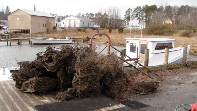 Derelict crab traps are offloaded for disposal after being retrieved from Chesapeake Bay