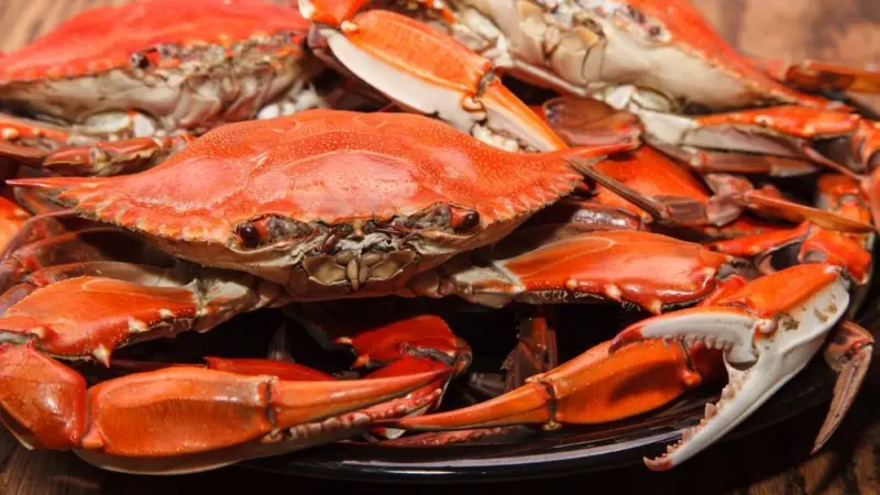 NFI red crab