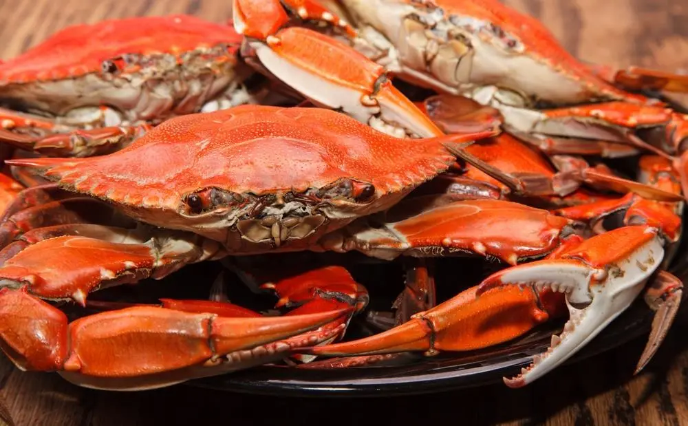 NFI red crab