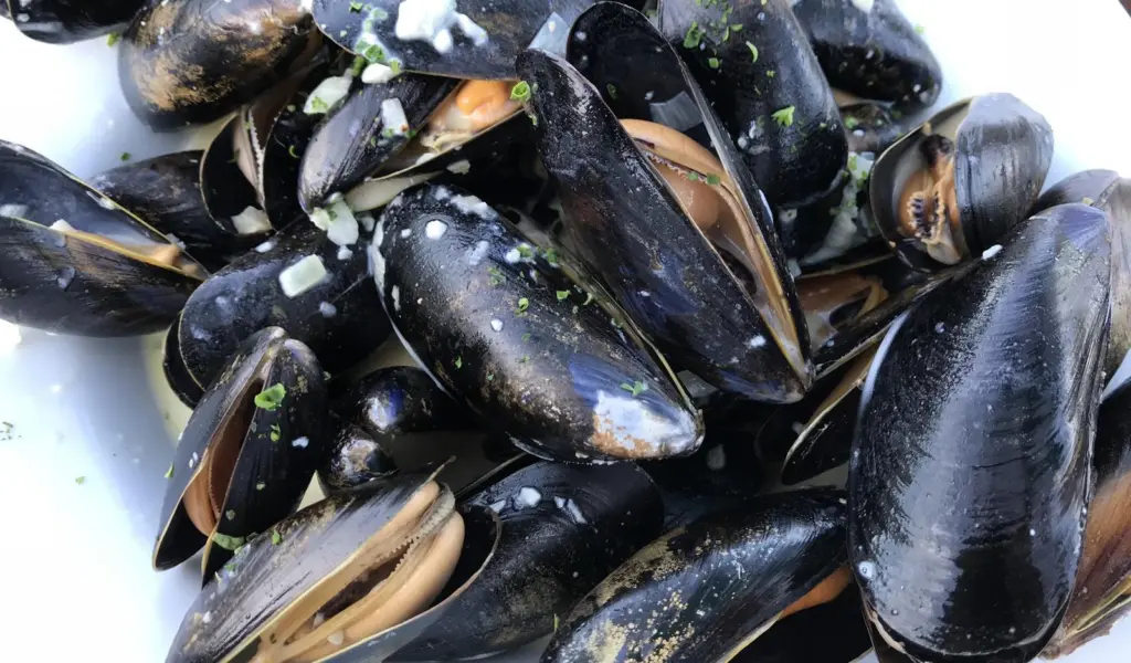 Mussels