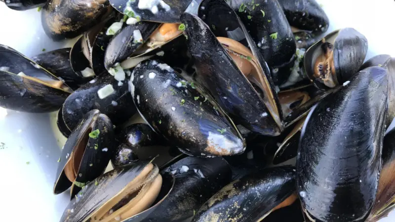 Mussels