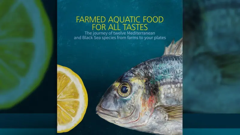 Publication FAO_GFCM