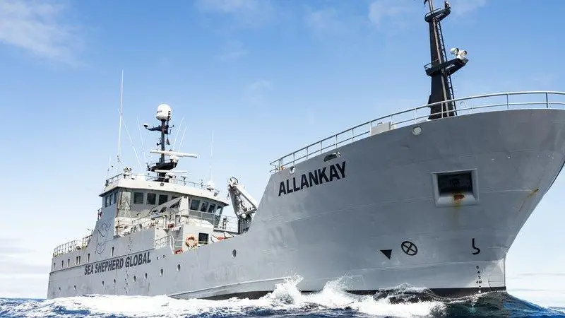 Sea Shepherd Global's 'Allankay'