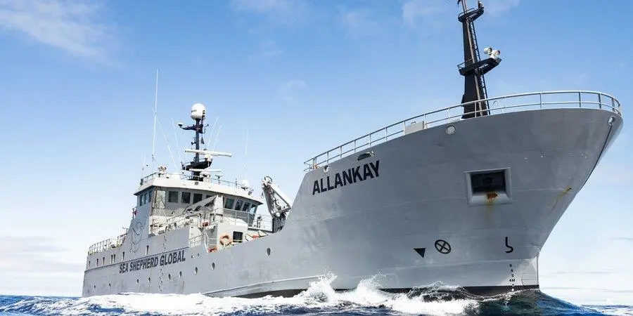 Sea Shepherd Global's 'Allankay'