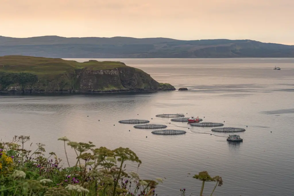SAIC aquaculture funding