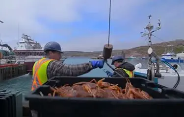 Fishers weighing a snow crab catch