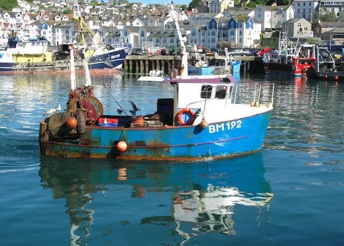 UK fishing