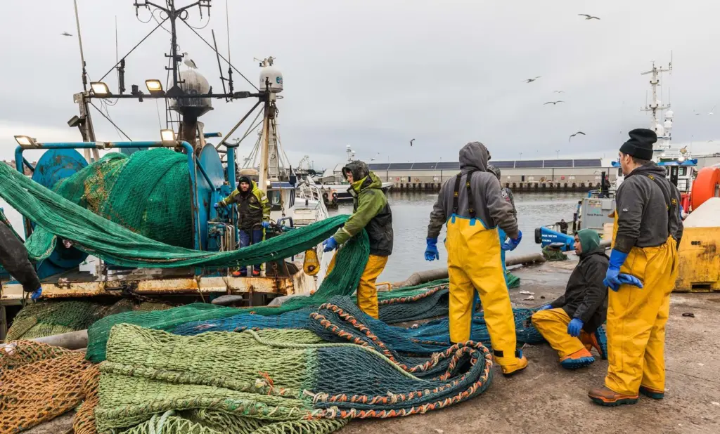 UK fishers