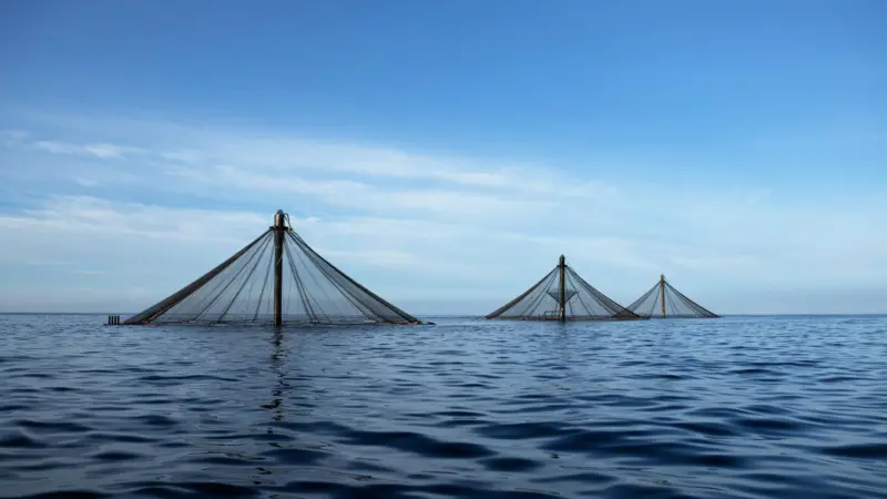 SeaStations