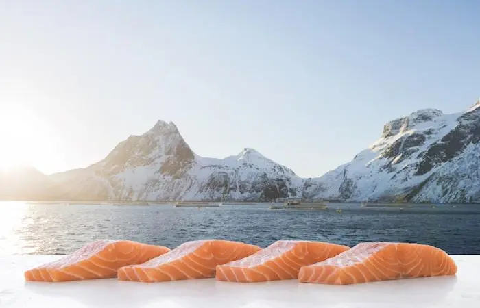Norwegian salmon