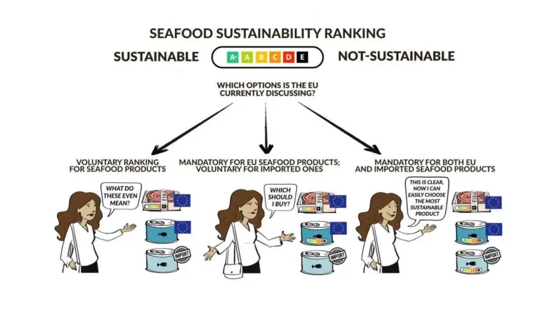 Graphic showing how consumers might determine the sustainability of their seafood to promote transparent labelling