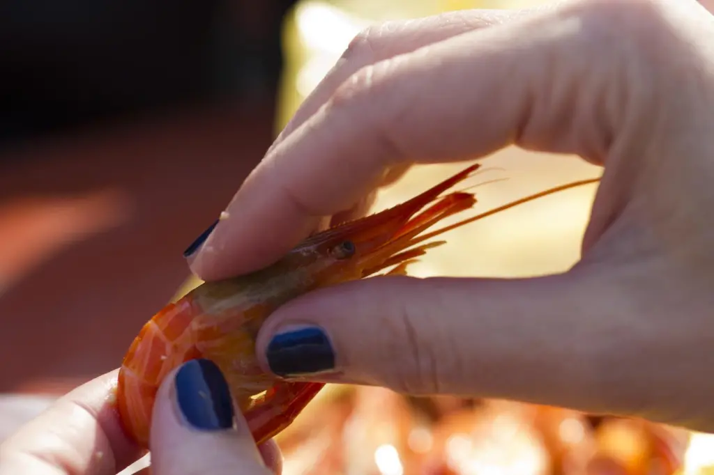 Seafood