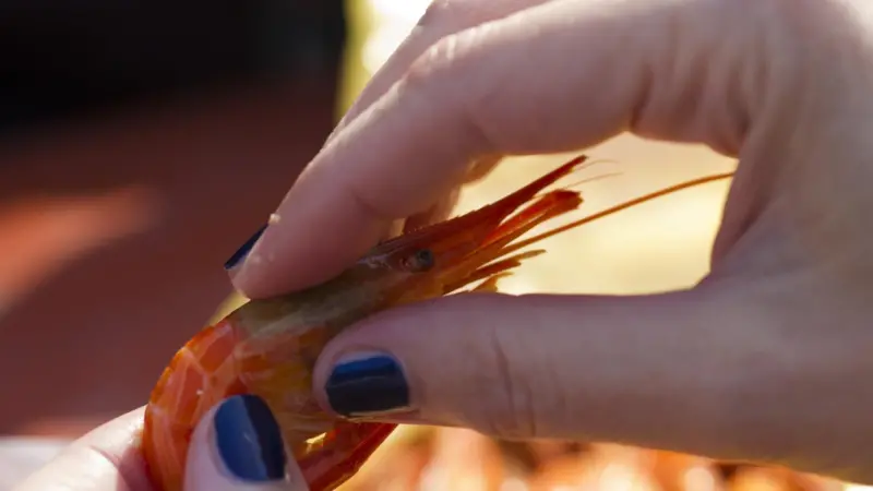 Seafood