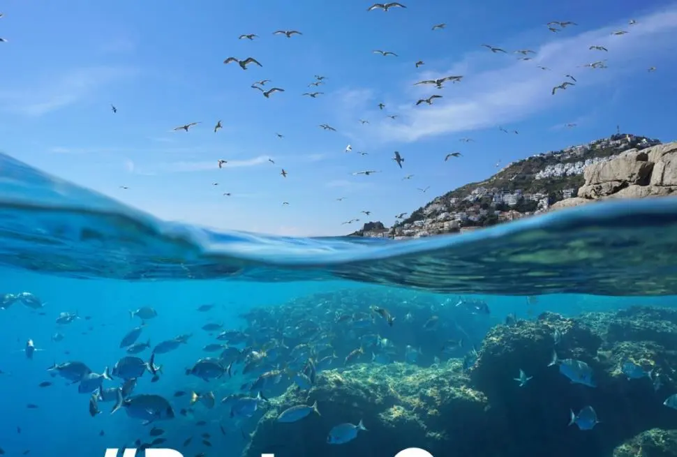 Image of the sea with fish below and birds above
