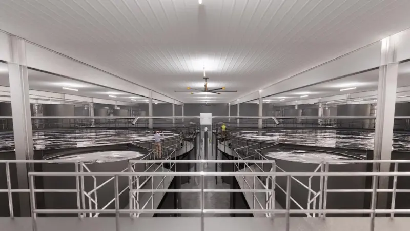 Land-based aquaculture technology