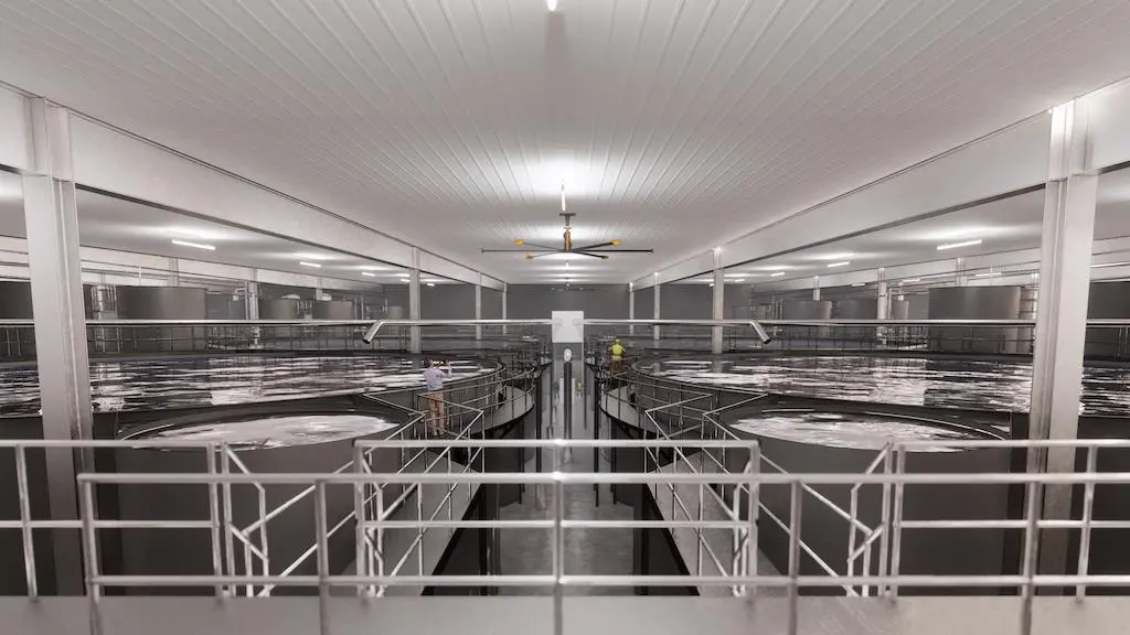 Land-based aquaculture technology