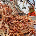Landing Alaska seafood species