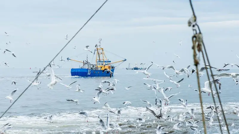 Dutch vessel