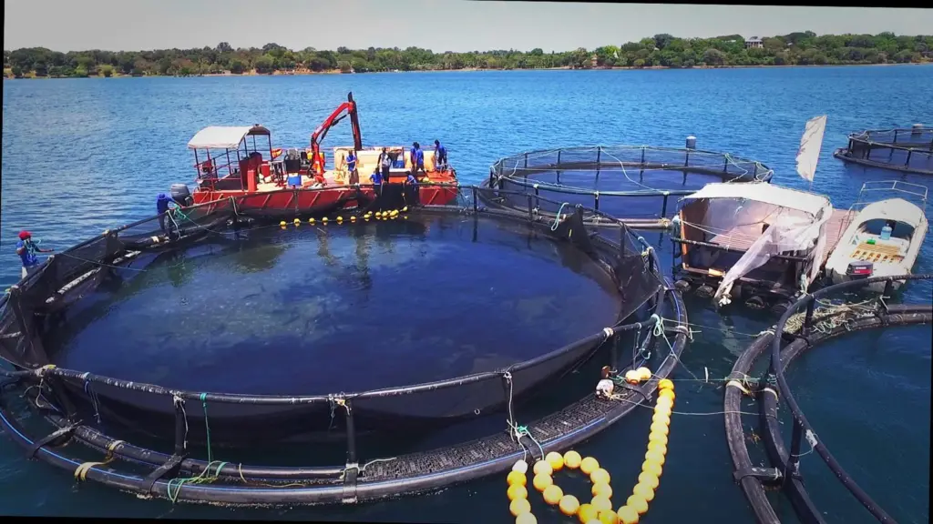 Oceanpick harvesting