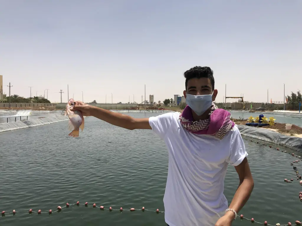 Egypt aquaculture