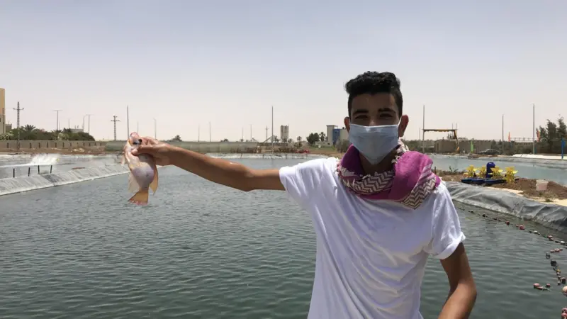 Egypt aquaculture
