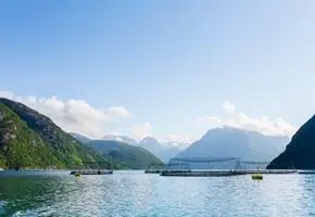 Salmon farm