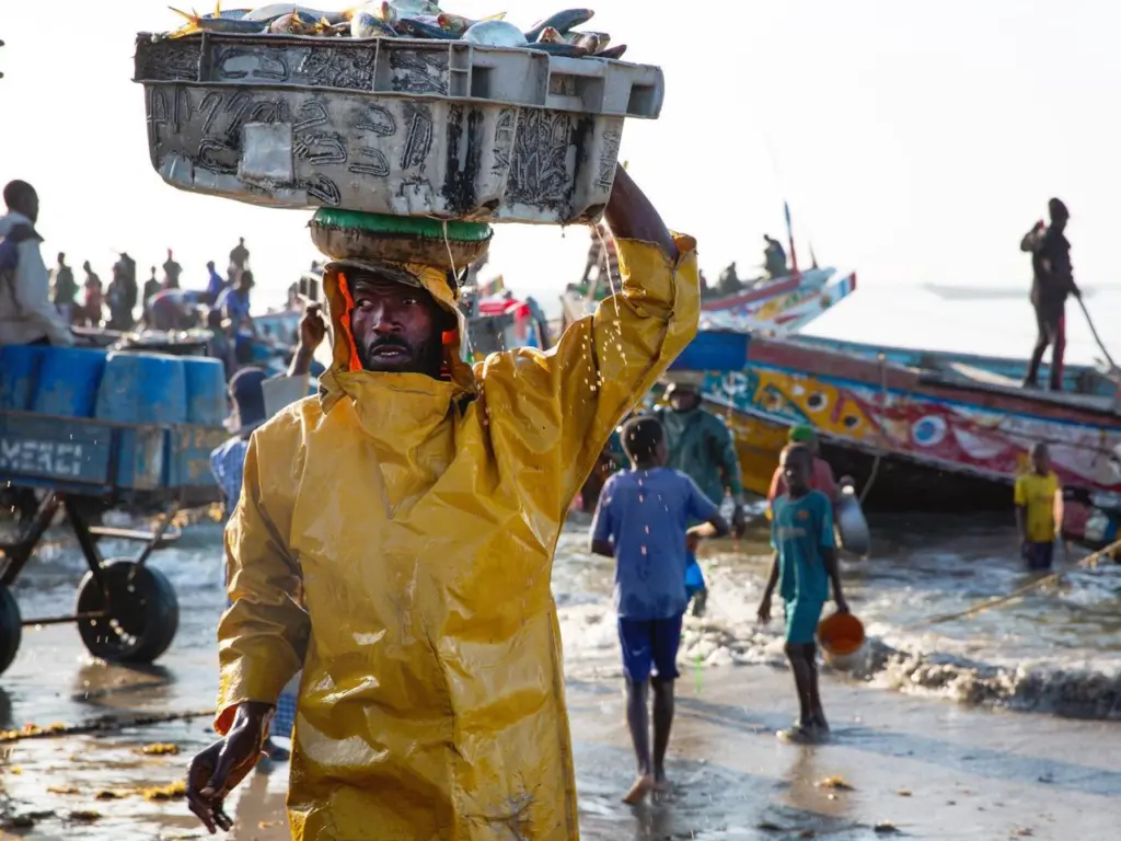 Senegal fisher