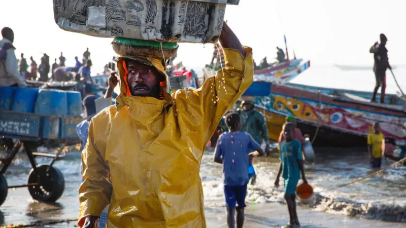Senegal fisher