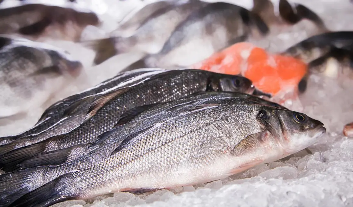 EU farmed fish