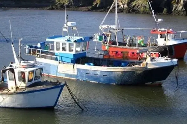 Boats